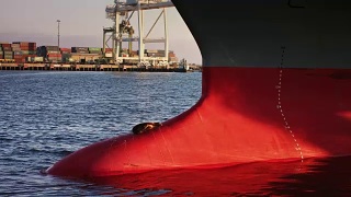 在港口货轮球鼻艏上晒太阳的海豹视频素材模板下载