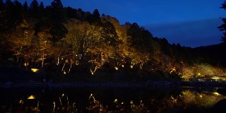 电影倾斜可兰经森林公园夜晚与灯光照明日本名古屋