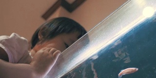 亚洲女婴兴奋与鱼在水族缸