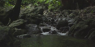 Nature-scape cinemagraph