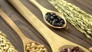 红豆，绿豆，黄豆和黑豆视频素材模板下载