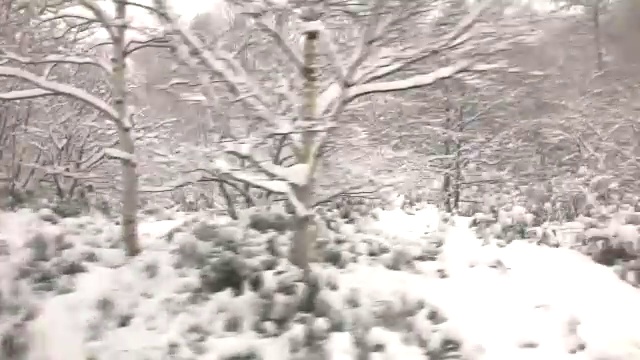 从巴士上看北海道正在下雪