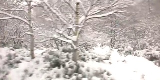 从巴士上看北海道正在下雪