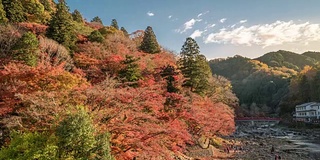 时光流逝:日本名古屋红叶秋园