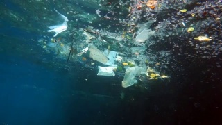 环境问题:海洋中的塑料视频素材模板下载