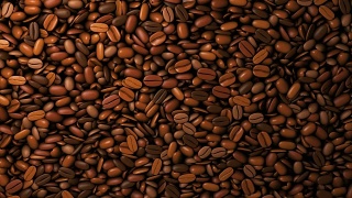 咖啡豆坠落-阿尔法蒙版视频素材模板下载