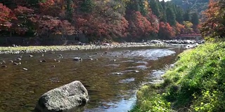 摇摄:日本名古屋红叶秋园