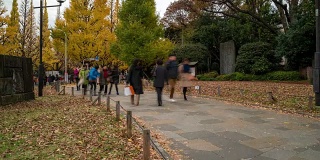 Time-lapse:行人挤在Time-lapse:日本东京Aoyama Meiji Jingu Garden, Apple ProRes 422 (HQ) 3840x2160格式