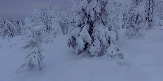 芬兰拉普兰航空镜头-大雪森林