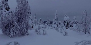 芬兰拉普兰航空镜头-大雪森林