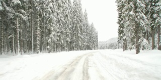 高清延时:在雪地里开车