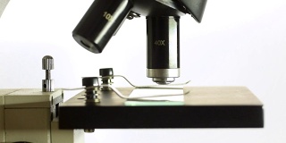 显微镜台向上移动，直到接触到显微镜镜头