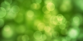 出现“生活”文本，一段时间后与移动的绿色闪烁灯溶解，散焦光反射在可循环的绿色散焦背景。健康生活，春天，森林，如意概念视频