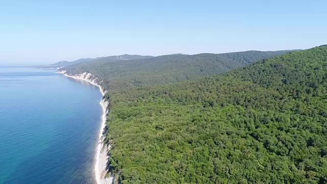 森林、小山、树木和蓝色的大海，美丽的背景。