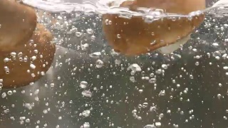蘑菇掉进沸水里视频素材模板下载