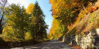 行驶在风景优美的道路上，穿过秋天的森林，阳光照耀着五颜六色的树叶