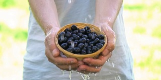 有机水果和蔬菜。农民手拿新鲜收获的水果和蔬菜。蓝莓——慢动作