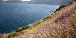 内姆鲁特火山口湖前，五彩缤纷的花朵在风中摇曳。