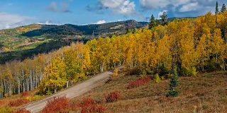秋天的金色山谷-秋天的云滚动超过一个山谷的金色白杨林，鲁特国家森林，蒸汽船泉，科罗拉多州，美国。