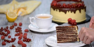 巧克力蜂蜜层蛋糕Medovik。一块巧克力蜂蜜蛋糕。