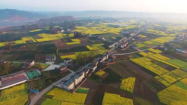 中国四川农村鸟瞰图乡村景观与油菜种田和村舍，4k