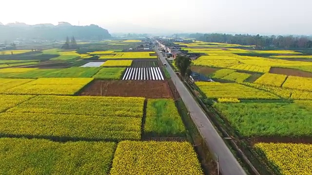 鸟瞰中国四川农村景观与油菜种子田和村庄，4k