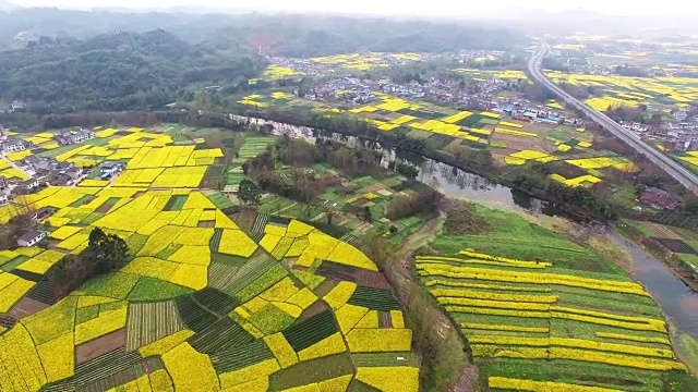 鸟瞰中国四川乡村景观与油菜籽田和高速公路交通，4k