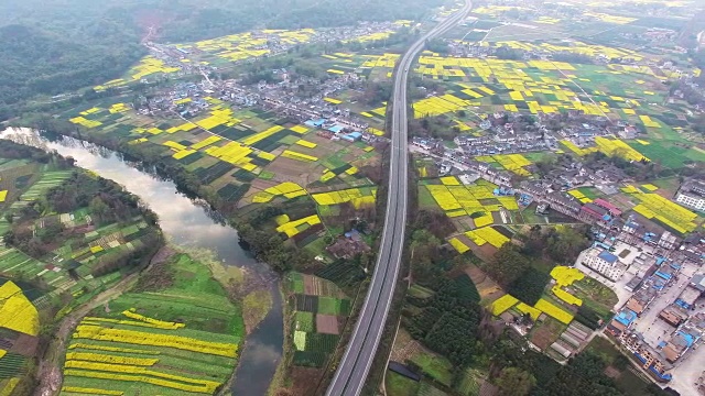 鸟瞰中国四川乡村景观与油菜籽田和高速公路交通，4k