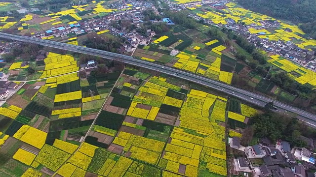 鸟瞰中国四川乡村景观与油菜籽田和高速公路交通，4k