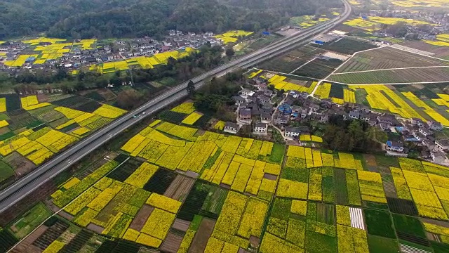 鸟瞰图的中国乡村景观在春天油菜种子盛开和村庄在高速公路