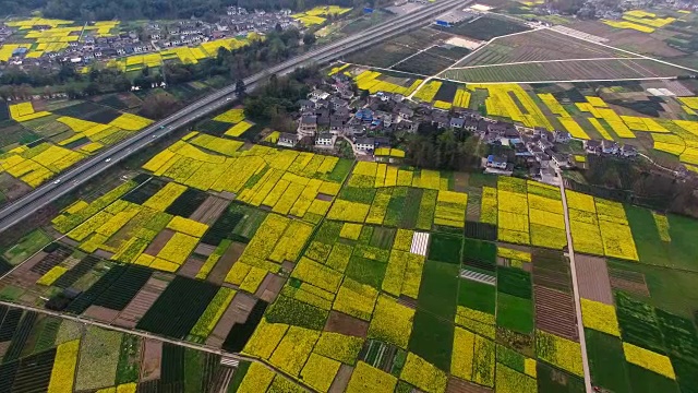 鸟瞰图的中国乡村景观在春天油菜种子盛开和村庄在高速公路