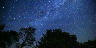 延时:银河和树顶的星星