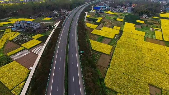 鸟瞰图的中国乡村景观在春天油菜种子盛开和村庄在高速公路