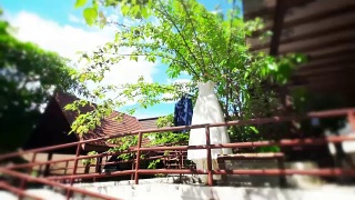 婚礼当天，将新郎的礼服和新娘的礼服挂在树上。视频素材模板下载