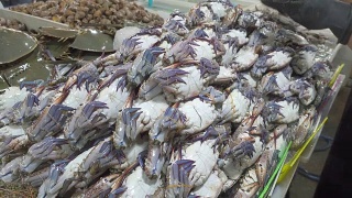 华欣市场的新鲜海鲜展示。视频素材模板下载