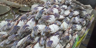 华欣市场的新鲜海鲜展示。