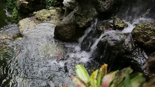 花园小瀑布视频素材模板下载
