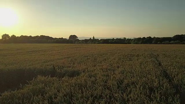无人机在日落时飞过麦田，背景是城市