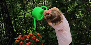 一个小女孩正在浇花。