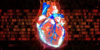 人工心脏可视化，医学研究，器官衰竭预防