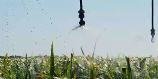 农田自动灌溉系统。水灌溉