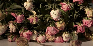 一束枯萎的粉红色玫瑰花。暗室里的桌子上放着干玫瑰