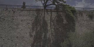 史宾纳隆加岛墙壁上的一棵孤独的树，一个古希腊遗址，历史，旅游，克里特岛远足