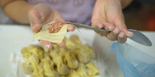 亚洲妇女手工制作馄饨和饺子馅。