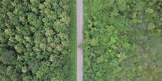 森林中汽车通过高速公路的鸟瞰图
