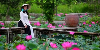 越南女子在莲花地里抱莲的慢镜头，越南