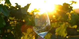 意大利托斯卡纳。在慢镜头的特写镜头中，葡萄园里拿着一杯白葡萄酒