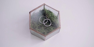 结婚戒指位于美丽的玻璃蝴蝶结与绿色的草