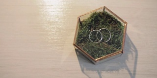 结婚戒指位于美丽的玻璃蝴蝶结与绿色的草