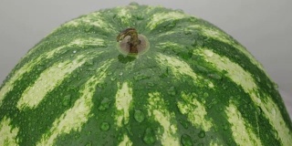 旋转，特写，水滴在一个成熟的西瓜上